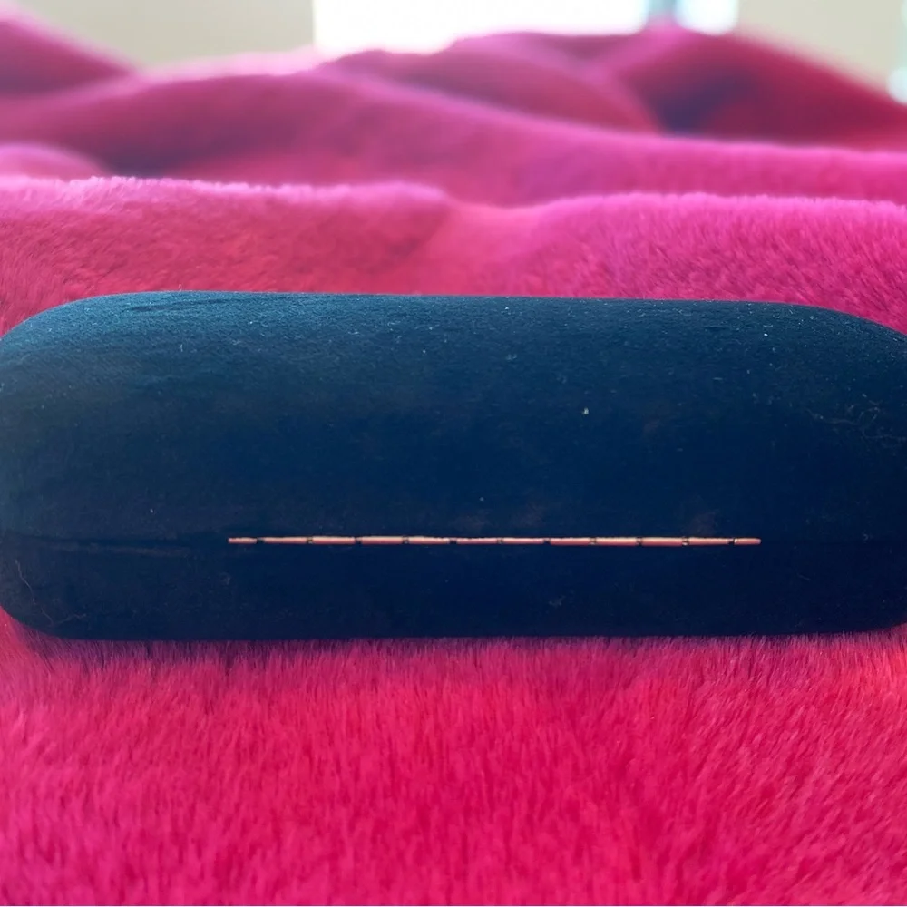 GUCCI glasses case sunwear